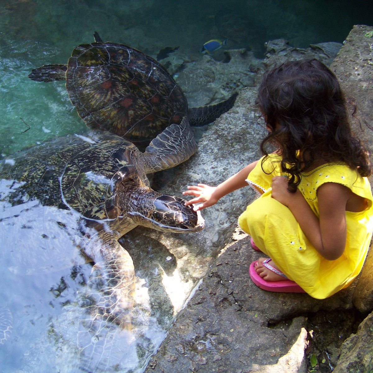 Baraka Aquarium & Wildlife Zoo